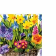 Servietti Spring Basket 25x25 cm - Servietit - 9140-225002940 - 1
