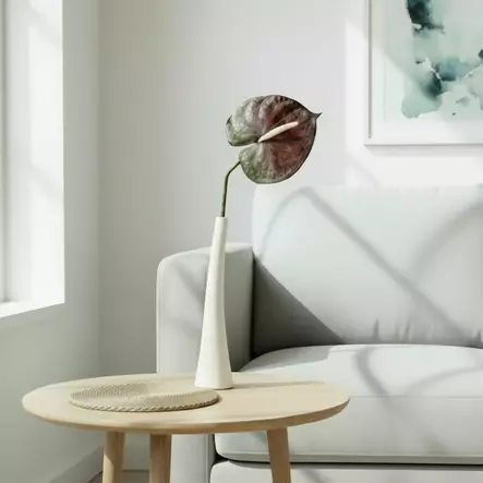 Anthurium, lila - Tekokukat - 36321 - 1