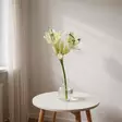 Amaryllis valkoinen - Tekokukat - 367640-01 - 1