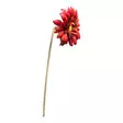 Gerbera punainen - Tekokukat - 3630277-11 - 4