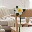 Joulutähti- huopanauha valkoinen - Joulukoristeet - 880006-01 - 9