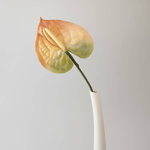 Flamengon kukka - Tekokukat - 36610-001 - 1