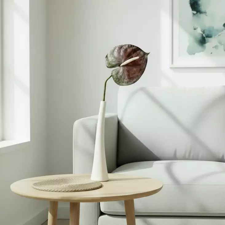 Anthurium, lila - Tekokukat - 36321 - 1