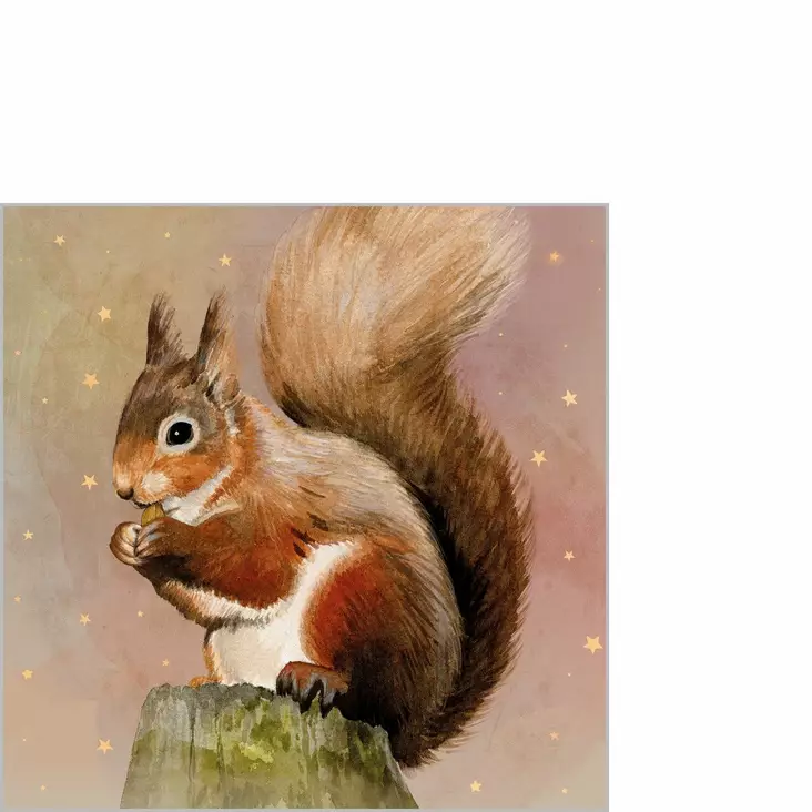 Servietti Judy Napkin 25x25 - Servietit - 9140-325002871 - 1