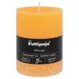 Läpivärjätty tuoksukynttilä 10cm, Mango - Tuoksukynttilät - 20004102 - 2