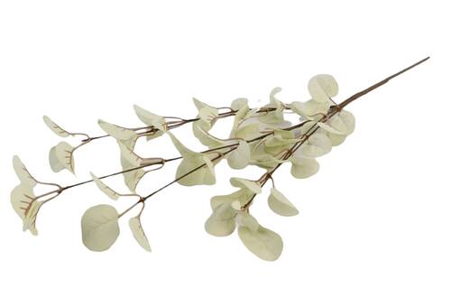 Eukalyptyksen oksa, kerma - Tekokukat - 365132 - 1