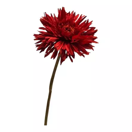 Villigerbera, viininpunainen - Tekokukat - 36078053 - 2