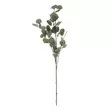 Eukalyptuksen oksa, 93 cm - Tekokukat - 367233 - 2