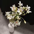 Kukka agapanthus, kerma, 70cm - Tekokukat - 362633 - 7