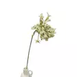 Kukka agapanthus, kerma, 70cm - Tekokukat - 362633 - 3