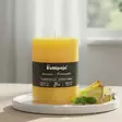 Puttipajan tuoksukynttilä Ananas alustalla, keltainen kynttilä, ananaspaloja vieressä. - Tuoksukynttilät - 20004333 - 1