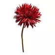 Villigerbera, viininpunainen - Tekokukat - 36078053 - 5