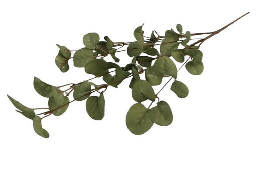 Eukalyptuksenoksa, 70 cm - Tekokukat - 365133 - 1