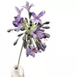 Kukka, Agapanthus,70cm, sininen - Tekokukat - 362634 - 11