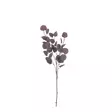 Eukalyptuksen oksa, 75 cm - Tekokukat - 360975 - 4