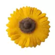 Huoparintaneula, auringonkukka - Nauhat, köynnökset ja härpäkkeet - 880083-05 - 3