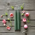 Antiikkikynttilä 30 cm, salvia&havu 2 pr/pkt - Antiikkikynttilät - 14010-3337 - 3