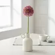 Jättilaukka, purppura 50 cm - Tekokukat - 361537 - 1