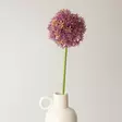 Jättilaukka, purppura 50 cm - Tekokukat - 361537 - 2