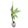 Onnen bambuoksa 70 cm - Tekokukat - 369313-17 - 4