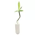 Onnen bambuoksa 70 cm - Tekokukat - 369313-17 - 3