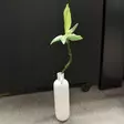 Onnen bambuoksa 70 cm - Tekokukat - 369313-17 - 8