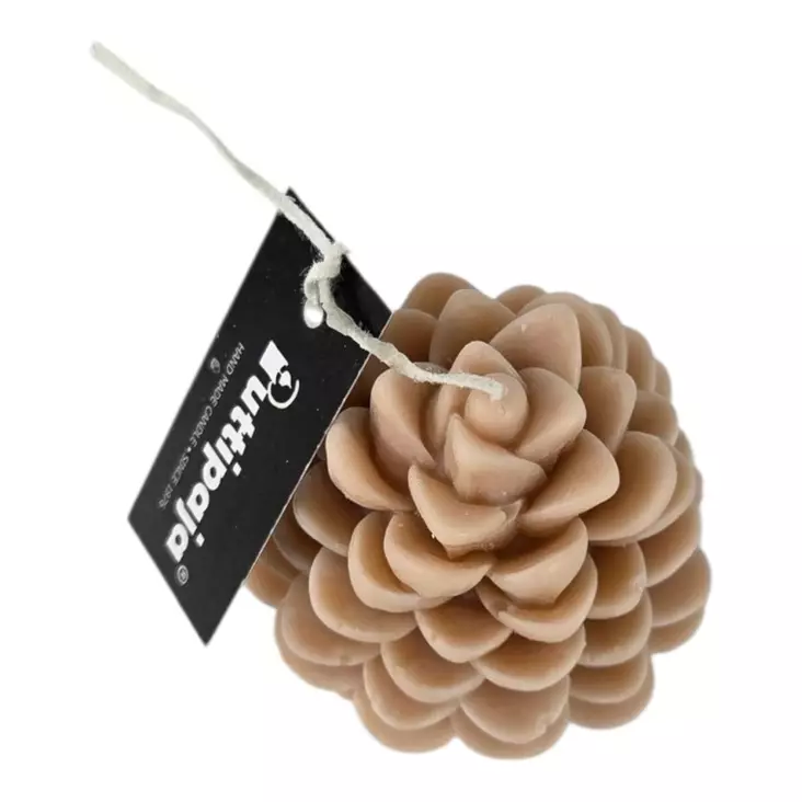 Soijavaha käpykynttilä, beige - Soijavahakynttilät - 2809088 - 1