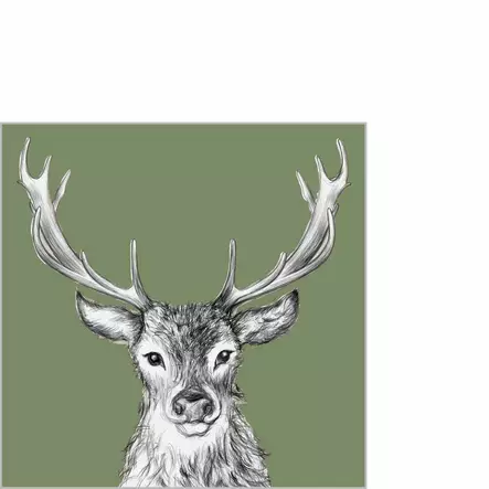 Servietti Paul green 25x25 cm - Servietit - 9140-125003099 - 1