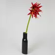 Amaryllis spider punainen, 70 cm - Tekokukat - 362339 - 1