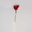 Amaryllis spider punainen, 70 cm - Tekokukat - 362339 - 3