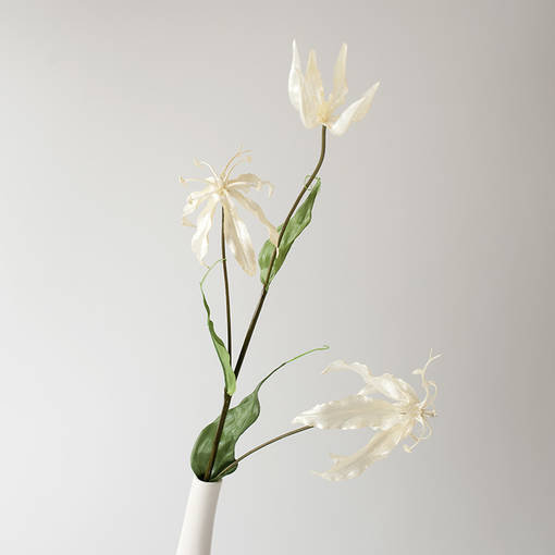 Gloriosa kerma 85cm - Tekokukat - 3694469 - 2