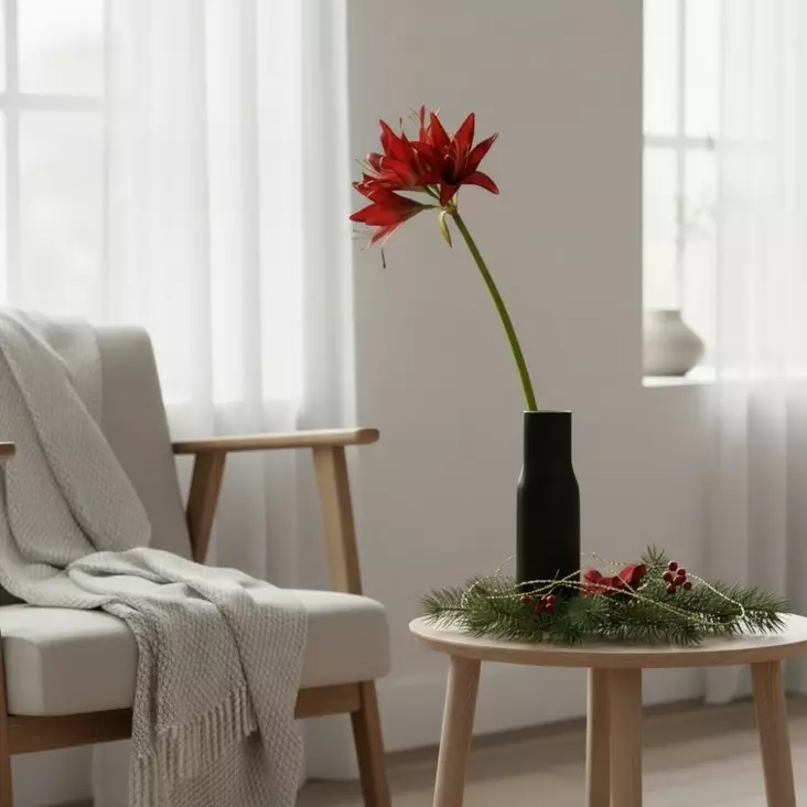 Amaryllis spider punainen, 70 cm - Tekokukat - 362339 - 1