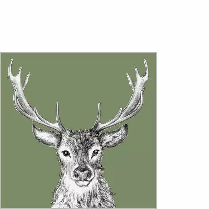 Servietti Paul green 25x25 cm - Servietit - 9140-125003099 - 1