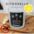 Citronella-ulkokynttilä lasipurkissa, iso - Ulkotulet - 17434752-01C - 1