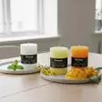 Tuoksukynttilä-paketti, Kevät - Tuoksukynttilät - 79200424-kevat - 5